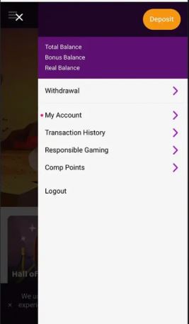 Manage casino account balance and make secure deposits using mobile version